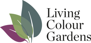 Logo with three overlapping leaves in green, purple, and dark teal beside the text "Living Colour Gardens" in a serif font.