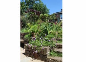 A tiered chillout garden with wooden retaining walls features various green plants and purple flowers under a clear blue sky.