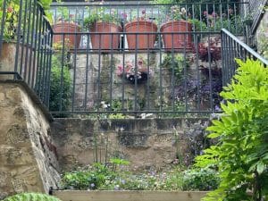 Stone steps lead up to a terrace with iron railings, several potted plants, hanging flowers buzzing with bees, and lush greenery growing along the wall and steps.