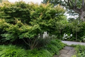 A lush green front garden features a small tree surrounded by ornamental grasses and shrubs beside a stone pathway, with white flowers and dense foliage in the background.