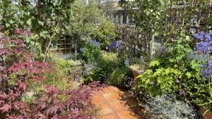 A sunlit garden with a tiled path, surrounded by various green plants, purple flowers, and climbing vines on wooden trellises—bringing the charm of a Sky Garden to your own backyard.
