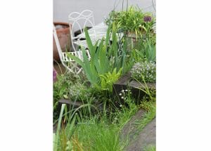 White metal chairs and a table are set up in a chillout garden with tall green plants, small flowers, and grass growing around stone steps.