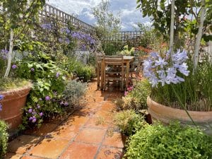 A sunlit patio in Portobello features a wooden table and chairs, surrounded by lush potted plants and blooming flowers—a charming sky garden beneath the cloudy sky.