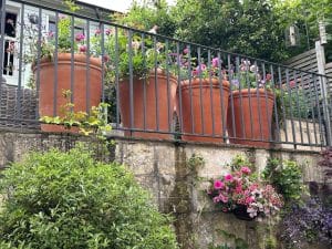 Large terracotta pots with flowering plants line a patio behind a metal railing; bees flit among the blooms, while a hanging basket with pink flowers is attached to the stone wall below.