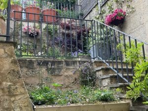 Stone steps with a black metal railing lead up to a garden terrace buzzing with bees among potted plants, hanging baskets, and various flowering plants against a stone wall.