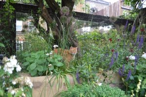 An orange tabby cat sits on a floating bench among green plants and flowers in a lush garden, with a tree and brick buildings visible in the background.