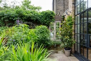 A lush chillout garden courtyard with dense green plants, potted shrubs, and a glass door leading to a brick building. A window draped with vines frames this relaxing scene.