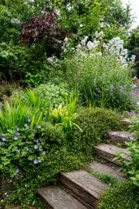 Wooden garden steps bordered by dense greenery and flowering plants, including purple and white blooms, create a lush chillout garden retreat.