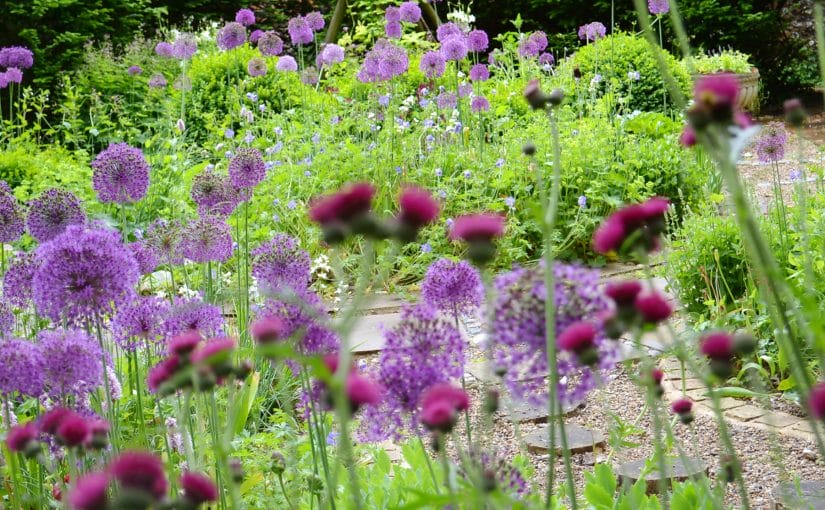 A Hidden Haven: The Chilterns Secret Garden by Living Colour Gardens