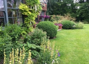 A well-maintained garden with trimmed shrubs, potted flowers, and climbing plants on a house wall evokes a Secret Garden vibe, with a green lawn bordered by trees reminiscent of the tranquil Chilterns.