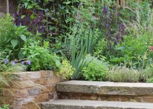 A stone staircase leads up to a raised garden bed filled with various green plants, herbs, and purple flowering plants near a brick wall, showcasing charming cottage style planting.