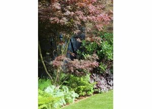 A symmetrical landscaped garden border features a variety of green foliage plants, a small tree with reddish leaves, and a brick wall in the background.