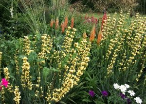 A garden bed with clusters of yellow, red, orange, white, and purple flowers set among green foliage evokes the charm of a Secret Garden in the Chilterns.