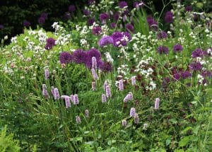 A garden bed with various blooming purple and white flowers set against a backdrop of green foliage, reminiscent of a Secret Garden in the heart of the Chilterns.