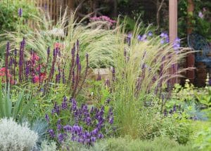 Garden with a mix of ornamental grasses, purple and red flowering plants, and lush green foliage in a landscaped outdoor setting inspired by cottage style planting.