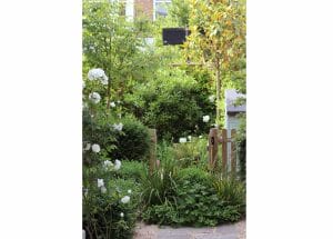 A symmetrical garden with lush green plants, white flowers, a wooden gate, and a stone path leading through the greenery.