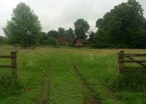 A grassy path leads through a wooden gate toward a house and outbuilding, nestled among trees in the Chilterns, evoking the charm of a Secret Garden on a cloudy day.