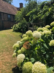 A sunlit garden in the Chilterns with blooming hydrangea bushes, a wooden bench, and a brick house with a tiled roof evokes the charm of a Secret Garden.