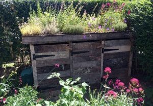 A wooden compost bin with three sections, topped with a green roof of flowering plants, sits nestled in lush front garden vegetation.