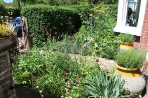 Charming front garden filled with dense green plants and flowers, yellow planters brighten the space near the house, with a brick wall and metal gate visible in the bright daylight.