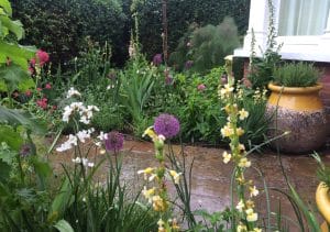 A front garden with various flowering plants, including purple alliums and white and yellow blooms, grows beside a wet stone path and a large yellow pot near a building window.