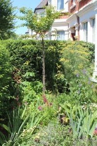 A lush front garden with various green plants, flowers, and a small tree creates a vibrant welcome in front of a red-brick house on a sunny day.