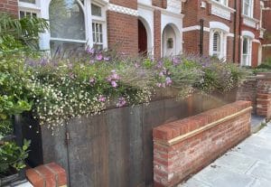 A planter filled with purple and white flowers sits atop a brick and metal wall in front of a red brick townhouse.