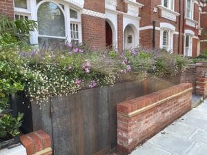 A flower-filled planter with purple and white blooms brightens the front garden, perched atop a rusted metal and brick wall outside a row of red-brick townhouses.