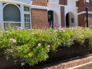 A brick planter in the front garden, filled with purple and white flowers, sits before a brick building with arched windows and a green door.