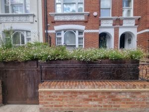 A brick townhouse with white trim and decorative railings, featuring a large raised front garden filled with small white and pink flowers.