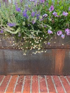 A metal planter box with blooming purple, pink, and white flowers sits atop a red brick surface, adding vibrant charm to the front garden.