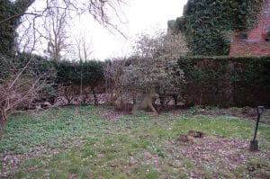 A grassy garden area with scattered leaves, a shrub-covered stone lion statue, bare trees, and a slate & steel shovel standing upright in the ground.